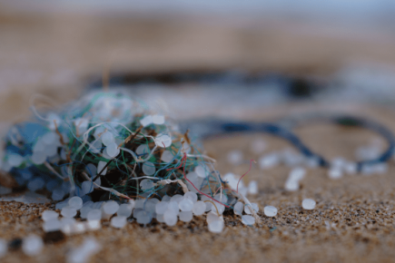 microplastics op strand