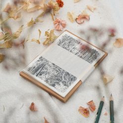 kaartenset met potloodtekeningen door Lieke Koster