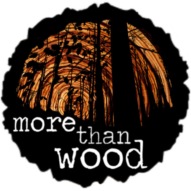 More than Wood